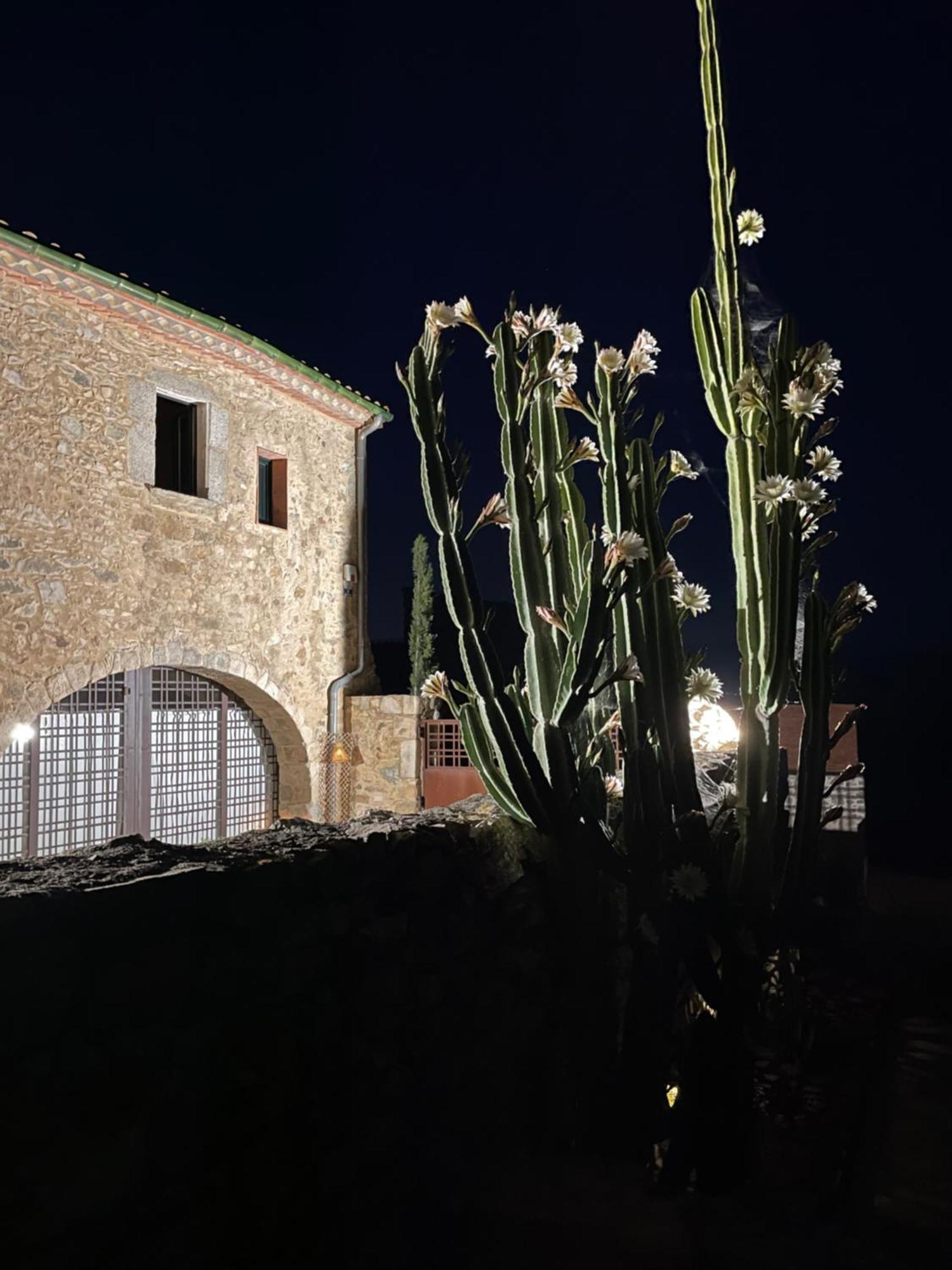 Holiday home Claros *